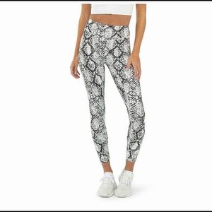 Balance Athletica Kingdom 2.0